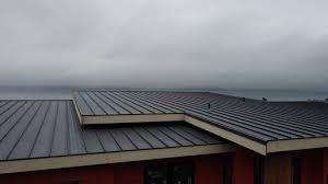 Best Metal Roofing Installation  in Norwood, PA